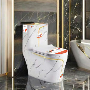 ONE-PIECE TOILET G-351