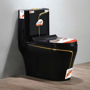 ONE-PIECE TOILET LT-1234