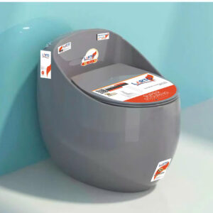ONE-PIECE TOILET LT-6802