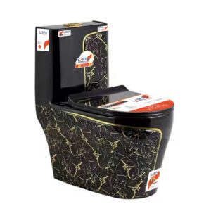 ONE-PIECE TOILET LT-6804