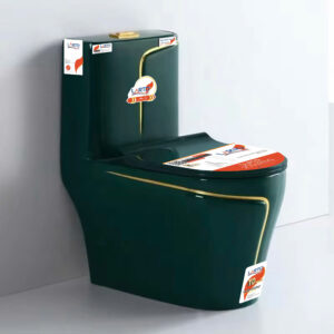 ONE-PIECE TOILET LT-6814